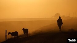 Иллюстративное фото