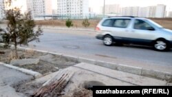 Podcast Zaviri ispod površine slušajte svake sedmice.