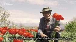 კაკო პაპას ტიტები