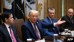 Дональд Трамп и члены его кабинета