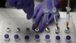 Цитаты Свободы. "Омикрон": что дальше? Цитаты Свободы. "Омикрон": что дальше?