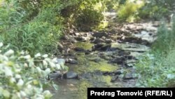 Rijeka u parku prirode "Komovi" kod Kolašina