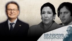 ვაჟა თავბერიძის ინტერვიუ ევროპარლამენტარ დაინიუს ზალიმასთან