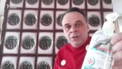 "Закуплена только марля" "Закуплена только марля"