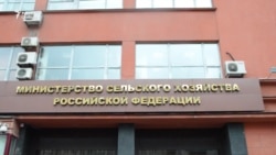 К Путину с Кубани