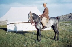 მხედარი ყაშყაის ტომიდან ფარსის პროვინციაში, სამხრეთ ირანში.