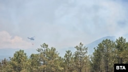 Илустрација