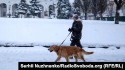 Діденко прогнозує сніг в ніч на суботу на заході та південному заході України, на решті території – без істотних опадів