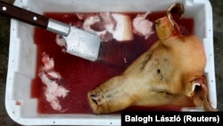 Иллюстративное фото