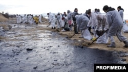 Волонтеры зачищают побережье Анапы (архивное фото)