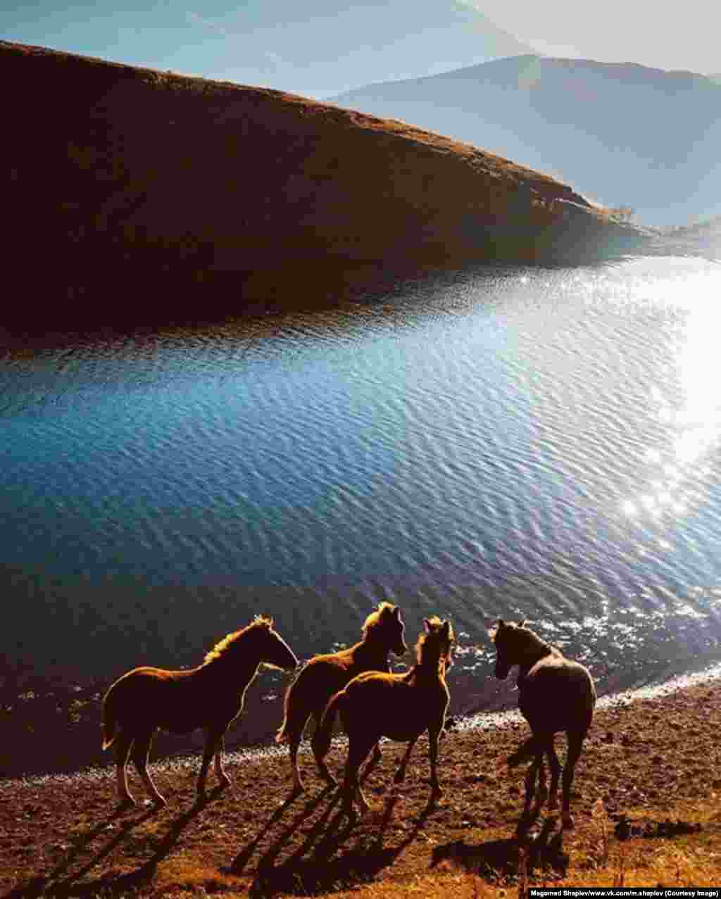 Фотография диких лошадей является одной из самых популярных в Инстаграме. "Она была сделана рядом с грузинской границей. Нам пришлось получать разрешение от пограничников подойти туда. Был яркий свет, и волны на воде от ветра. Потом я увидел этих лошадей, – рассказывает фотограф.  