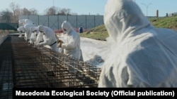 Prečišćavanje lindana iz OHIS-a (foto arhiva)