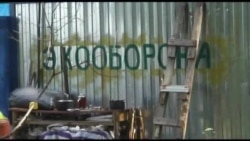 Пикник без Путина Пикник без Путина