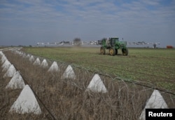 ტანკსაწინააღმდეგო თავდაცვითი სისტემები, რომლებიც „დრაკონის კბილების“ სახელითაა ცნობილი, იყენებენ მთელ უკრაინაში, ასევე რუსეთის ზოგიერთ ნაწილში, მათ შორის, კურსკის რეგიონში.