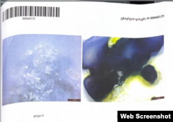 ამონარიდი ექსპერტიზის დასკვნიდან