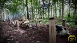 Deca Srbije u ruskim kampovima: Nož i kalašnjikov Deca Srbije u ruskim kampovima: Nož i kalašnjikov