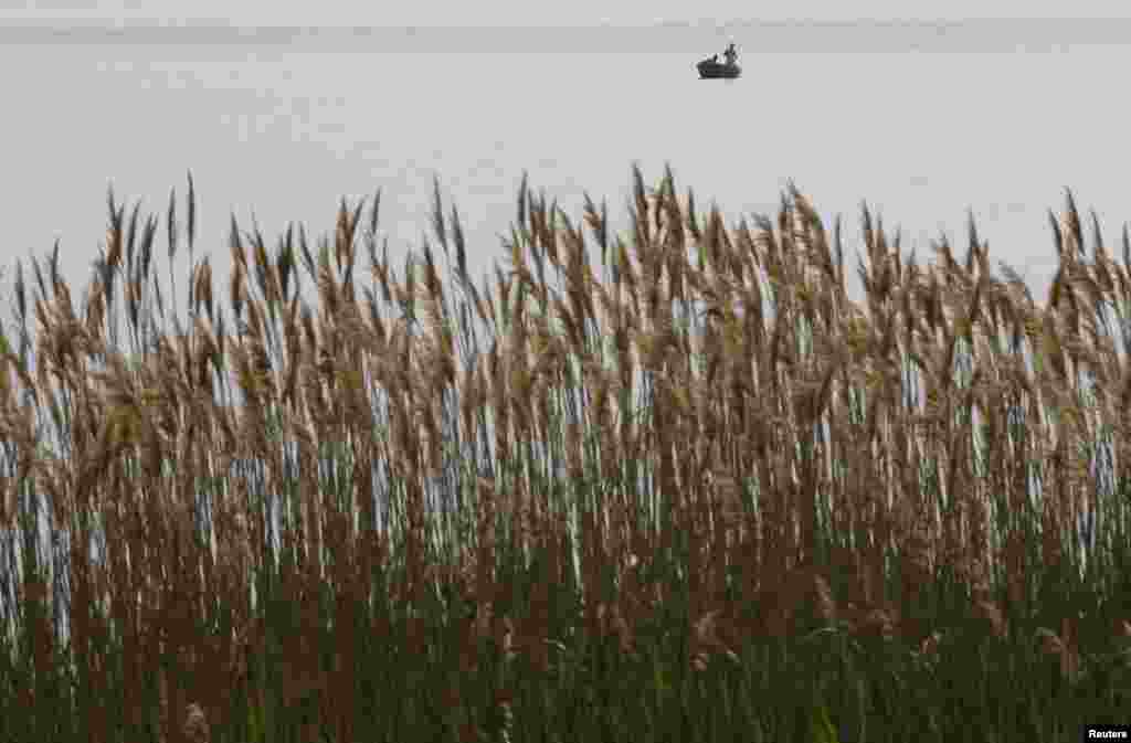 Ohridsko jezero, 2008. Foto: REUTERS / Arben Celi