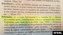 Navodi iz problematičnih dijelova Rječnika CANU-a