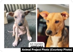 ქუჩაში ცხოვრებისას და "გაშვილების" შემდეგ