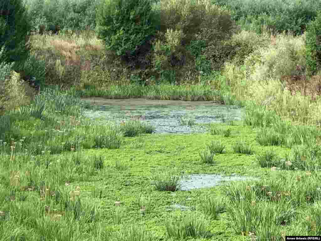 Prnjavorski "Ribnjak" jedno je od najvećih ribogojilišta u regiji.