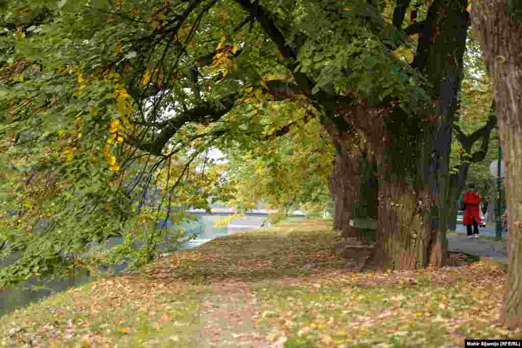 Na jednom od sarajevskih šetališta, lišće je tek počelo opadati. 