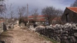 Zlatno doba u hladu zelenog duba