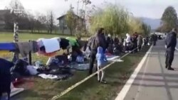 Migranti na granici BiH i Hrvatske Migranti na granici BiH i Hrvatske