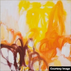 Маша Шмидт. Проект Phenomenes