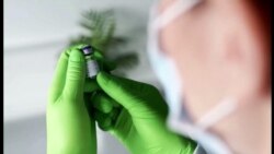 Vakcine deluju i na novi soj korone Vakcine deluju i na novi soj korone