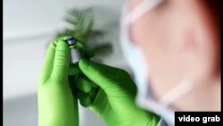 Fajzerova vakcina protv COVID-19