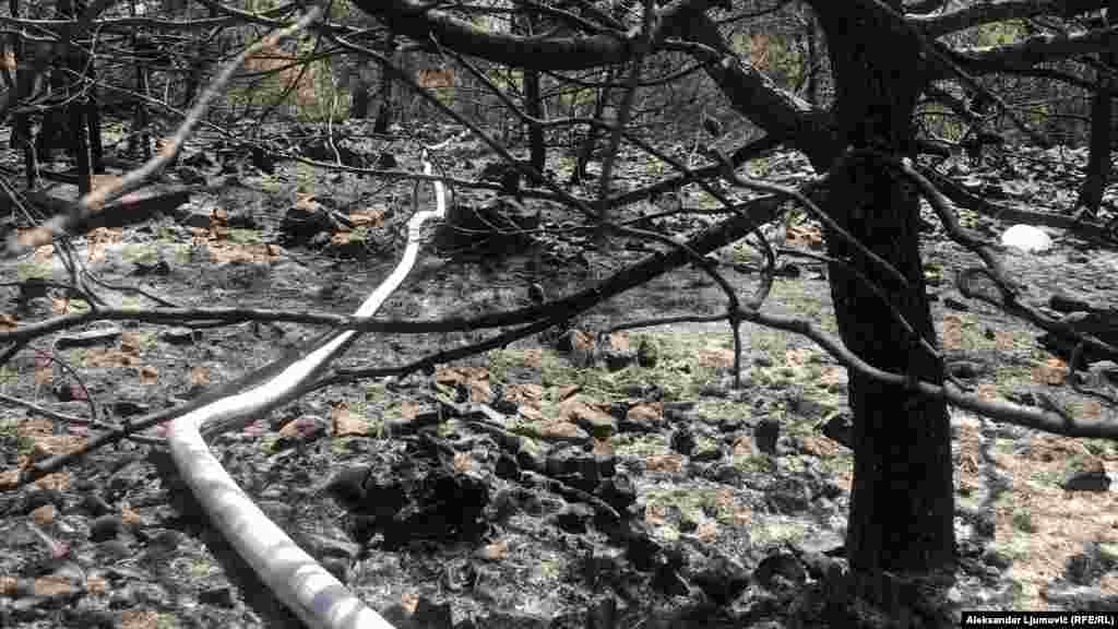 Požar koji je stavljen pod kontrolu nakon par sati, gasio je i avion Direktorata za zaštitu i spašavanje.