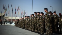 Тема недели: натовские легионы Тема недели: натовские легионы