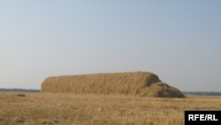 Маємо, але не використовуємо...