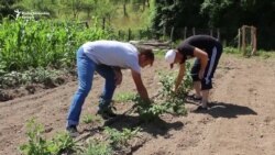 Studenti poljoprivrednici