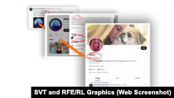 Preko internet arhiva moguće je naći direktnu vezu između "Europe Invasion", Koksa i fiktivne osobe "Alissa"