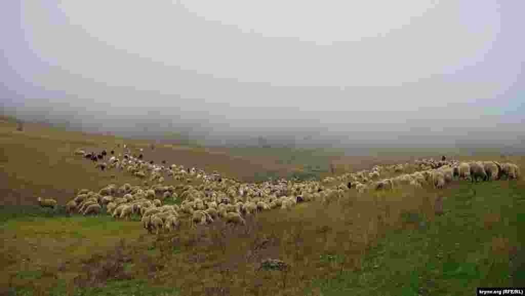 Ак-Кая привлекает внимание не только туристов, но и кинематографистов. Здесь проходили натурные съемки эпизодов таких известных советских кинокартин, как «Всадник без головы», «Человек с бульвара Капуцинов» и других