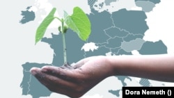 Az első magyarországi klímaperben hozott döntés volt az Alkotmánybíróság júniusi döntése, mellyel megsemmisítette a klímatörvény egyik bekezdését