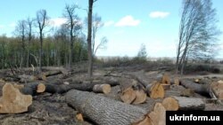 (архівне фото)