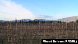 Mostar, vinogradi na ruti koridora Vc