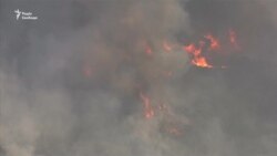 Лісові пожежі у США: щонайменше 23 людини загинули, сотні зникли безвісти (відео) Лісові пожежі у США: щонайменше 23 людини загинули, сотні зникли безвісти (відео)