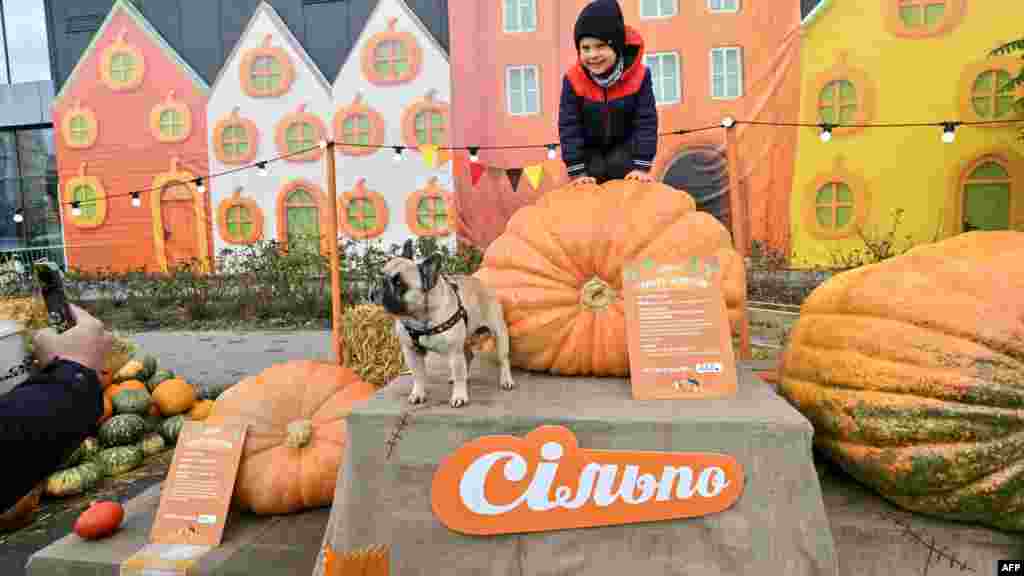 Volt, aki a házi kedvencét is magával hozta