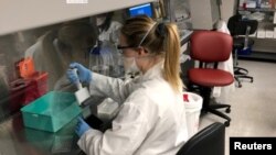 Naučnici u Fajzerovoj laboratoriji u Njujorku