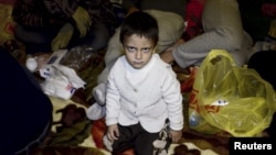 Сирийские беженцы на российско-норвежской границе. Осень 2015 года