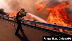 Vatrogasac se bori sa vatrenom stihijom u dolini Simi u Kaliforniji, 12. novembar 2018.