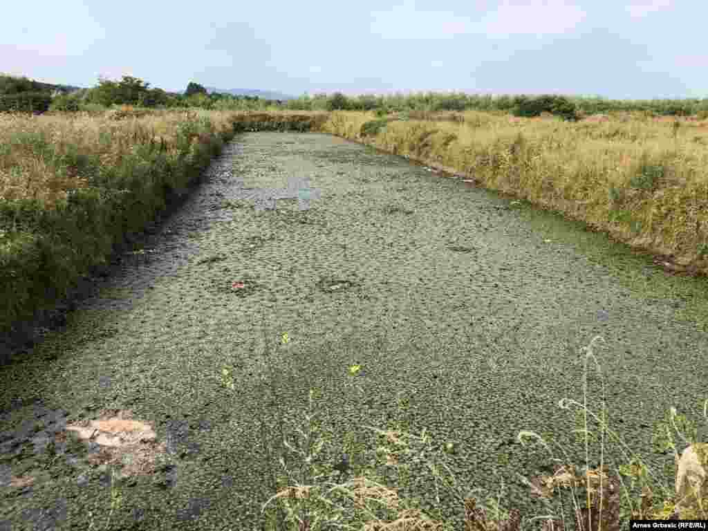 Zapušteni ribnjaci.