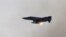 Turski avion F-4, sličan onom koji je oborila Sirija