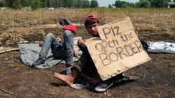 Mladi Beograda o odnosu prema izbeglicama Mladi Beograda o odnosu prema izbeglicama