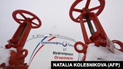 რუსეთის სახელმწიფოს მიერ კონტროლირებული „ტრანსნეფტი“ ნავთობის ტრანსპორტირების უმსხვილესი კომპანიაა