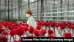 Кадр из фильма "Маленький Джо"