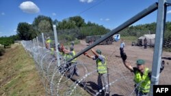 Mađarski zatvorenici ojačavaju žičanu ogradu na granici sa Srbijom, maj 2016.